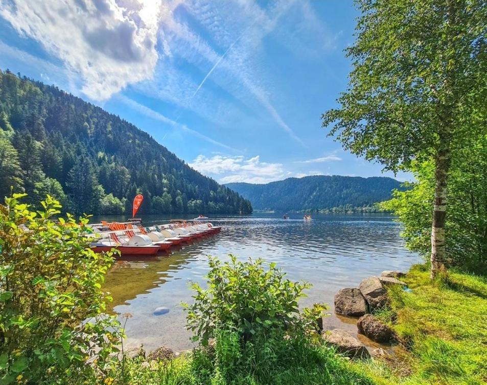 Gite Spa "La Foret Argentee" Proche Gerardmer Laveline-du-Houx Exteriér fotografie