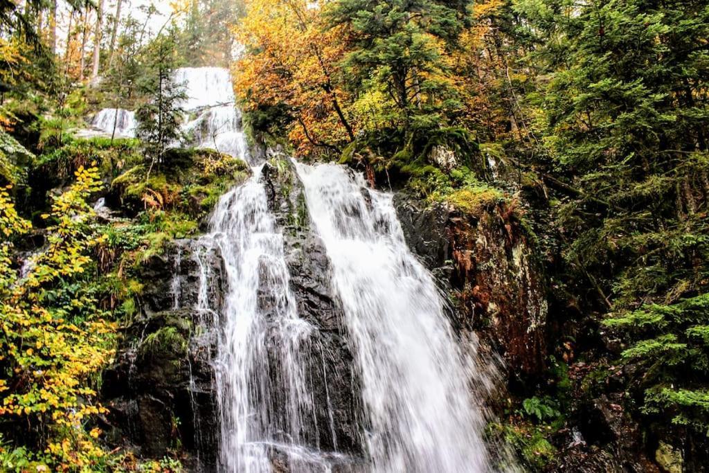 Gite Spa "La Foret Argentee" Proche Gerardmer Laveline-du-Houx Exteriér fotografie